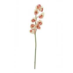 Umělá květina- rozkvetlá orchidej do vázy, krémově růžová, 90 cm