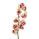 Orchidej větvička, krémově růžová, 90cm
