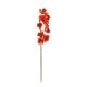 Orchidej větvička, červená, 90cm