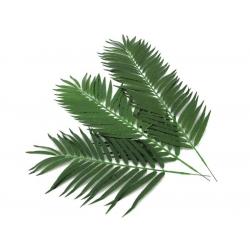 Umělý dekorativní list z kokosové plamy, zelený, 80 cm, 12 kusů