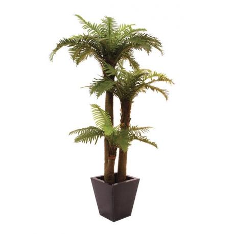 Kapradinová palma 2 kmeny 160 cm