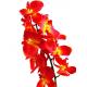 Orchidej větvička, oranžová, 70cm