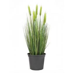 Umělá rostlina v květináči - jarní zelená pšenice s klasy, 60 cm
