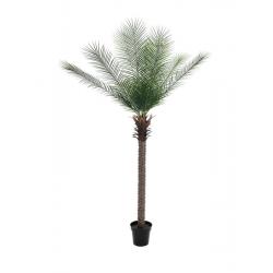 Luxusní umělá palma Phoenix, venkovní / vnitřní, v květináči, 220 cm