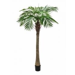 Velká umělá palma jako živá, Phoenix s vysokým kmenem, v květináči, 210 cm