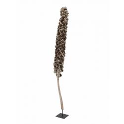 Dekorace do bytu - přírodní sušený květ z palmy Babussu, délka 120-190cm