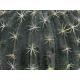 Europalms Barrel Cactus, 34cm
