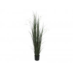 Willow branch grass, 183cm