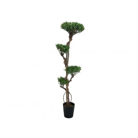 EUROPALMS Bonsai stromek, vícekmenný, 170cm
