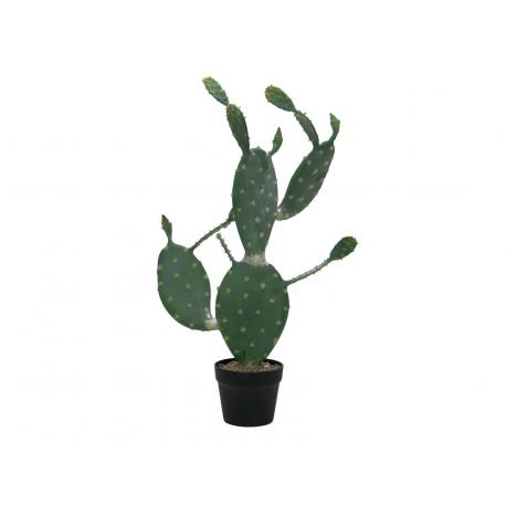EUROPALMS nopal kaktus, 76cm