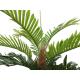 Europalms Kentia palma, umělá rostlina, 180cm