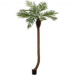 Vysoká umělá palma jako živá Phoenix v květináči, zahnutý kmen, 240 cm
