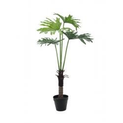 Split Philo Plant 120 cm