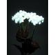 Hortenzie s květy, bílé, 100 LEDs