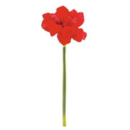 Amaryllis červený, 72cm